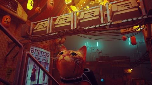 Stray[NINTENDO SWITCH]